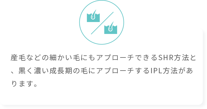 産毛などの細かい毛にもアプローチできるSHR方法と、黒く濃い成長期の毛にアプローチするIPL方法があります。個人サロンならではの応用力があり、ご相談しながら、脱毛を進めていけます。